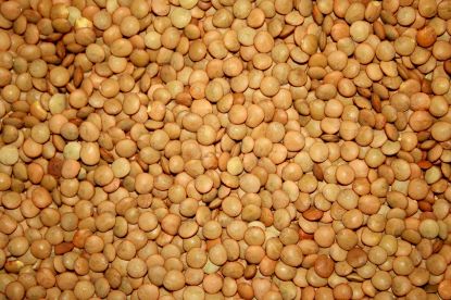 Picture of  Lentils Yellow/Orange 10kg