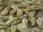 Picture of  Whole Jeera 1kg